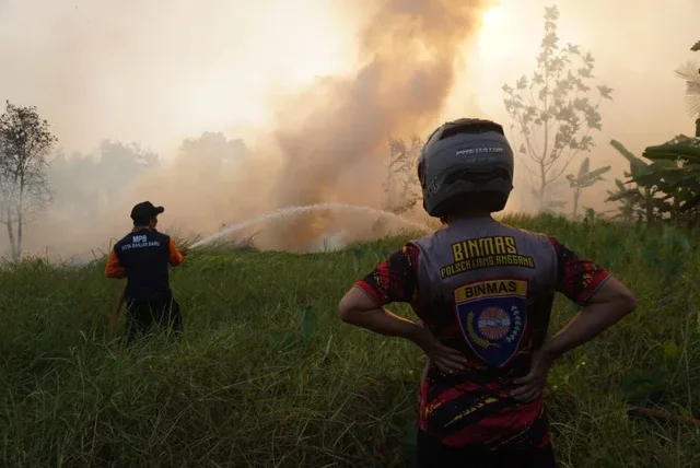 Mengerikan, Kebakaran Hutan Kalimantan Berimbas  ke Negara Tetangga