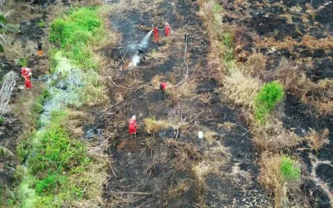1.842 Titik Api Mengepung Kalimantan, Akibat Kebakaran Hutan